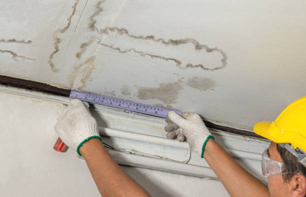 Reliable Water Damage contractor in Hollins, VA by Water Damage Irwin